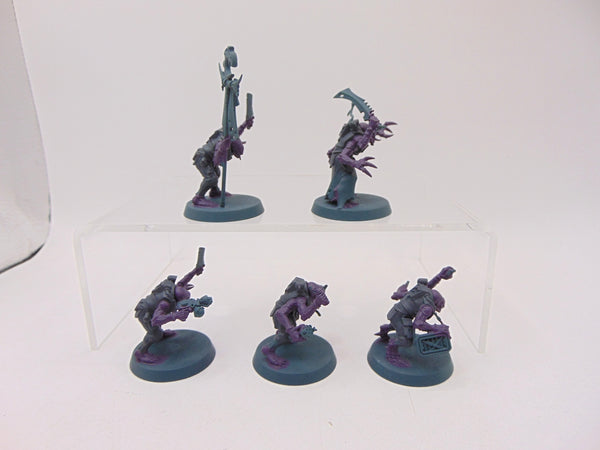 Acolyte Hybrids