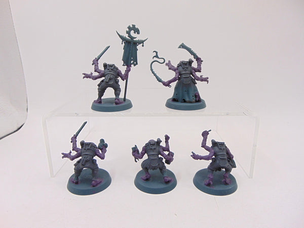 Acolyte Hybrids