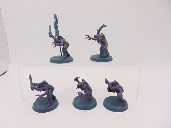 Acolyte Hybrids