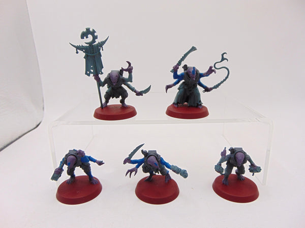 Acolyte Hybrids