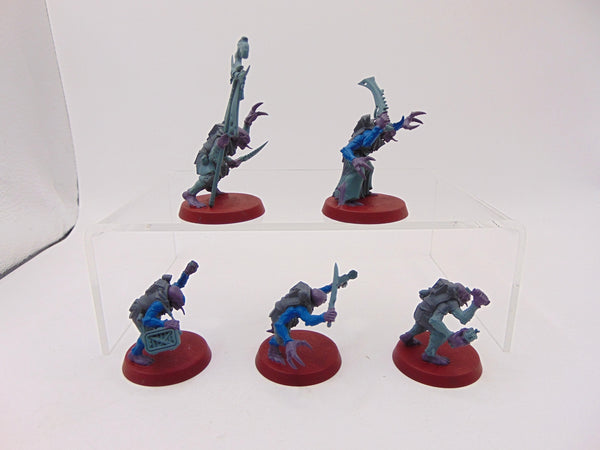 Acolyte Hybrids