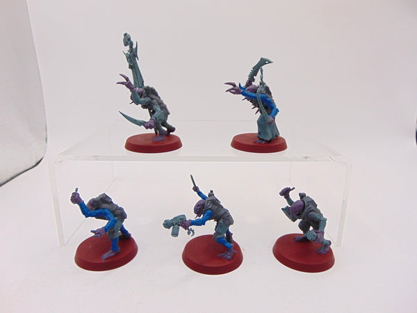 Acolyte Hybrids