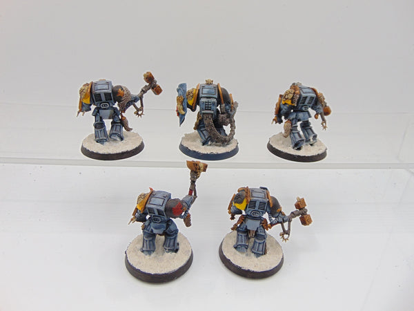 Wolf Guard Terminators