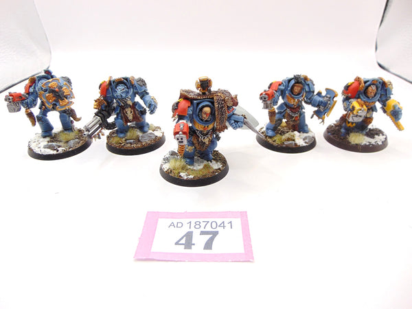 Wolf Guard Terminators