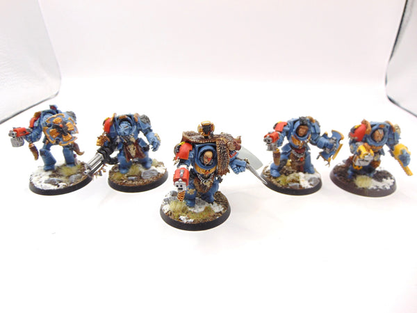 Wolf Guard Terminators