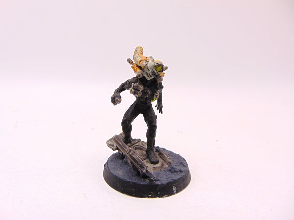 Culexus Assassin