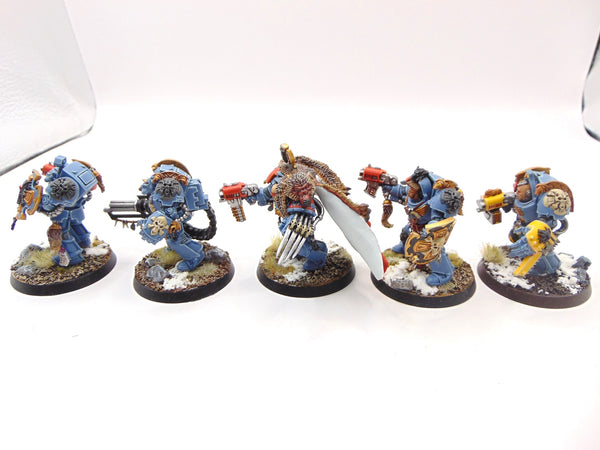 Wolf Guard Terminators