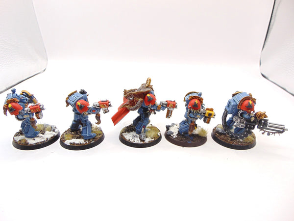 Wolf Guard Terminators