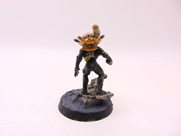 Culexus Assassin