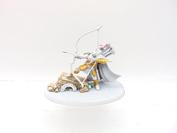 Knight Judicator