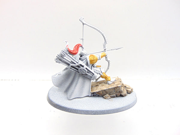 Knight Judicator