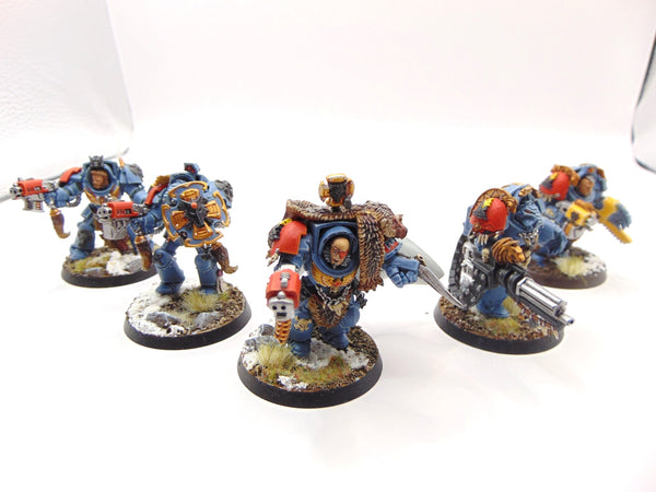 Wolf Guard Terminators