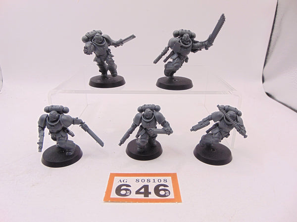 Assault Intercessors