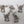Space Marine Scouts