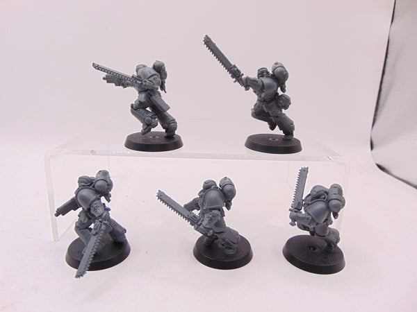Assault Intercessors