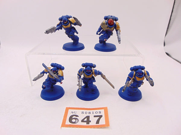 Assault Intercessors