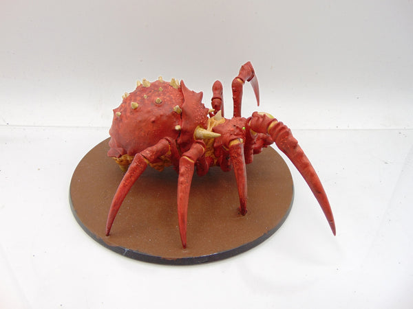 Skitterstrand Arachnarok