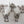 Space Marine Scouts