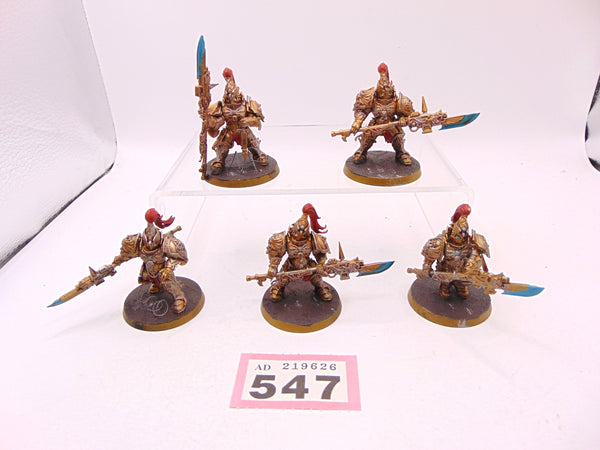 Custodian Guard