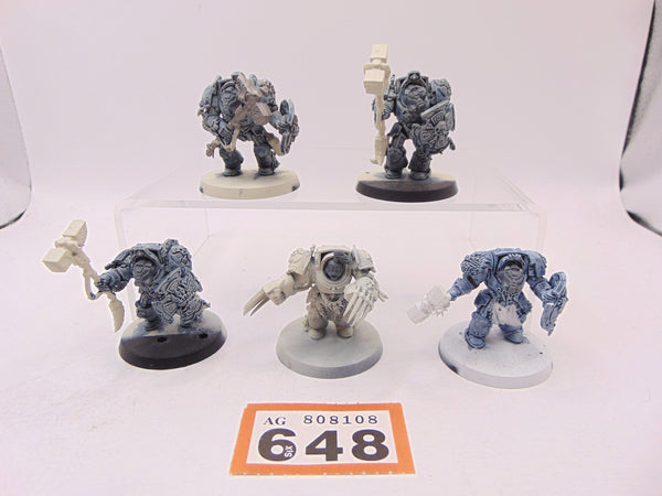 Wolf Guard Terminators