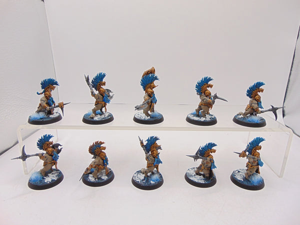 Vulkite Berzerkers