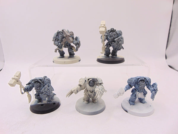 Wolf Guard Terminators