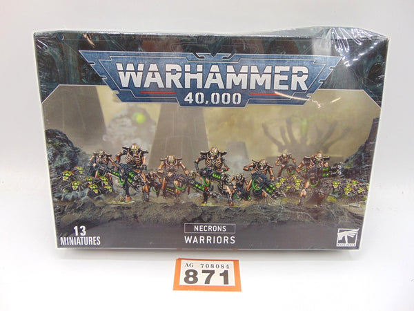 Necron Warriors & Canoptek Scarab Swarms
