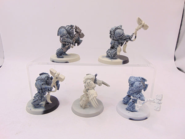 Wolf Guard Terminators