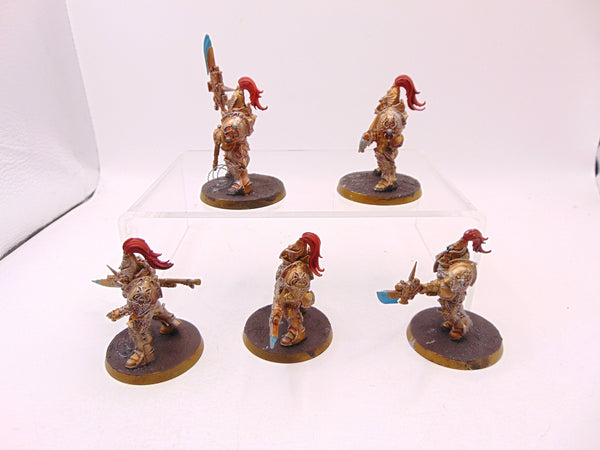 Custodian Guard