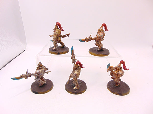 Custodian Guard