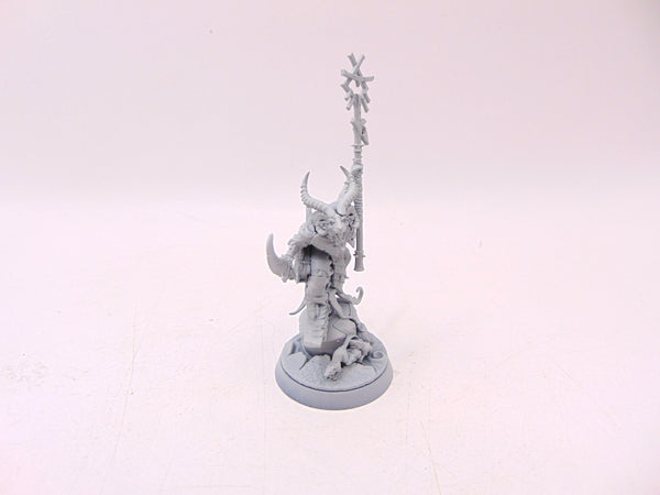 Grey Seer