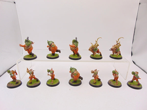 Nurgle’s Rotters - Nurgle Blood Bowl Team