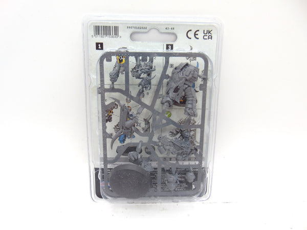 Plague Marine Champion