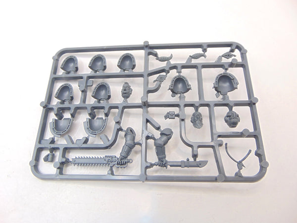 Space Wolves Primaris Upgrades