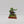 Man Mangler Orc Mangonel Crew
