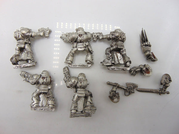 Space marine veterans metal MKII