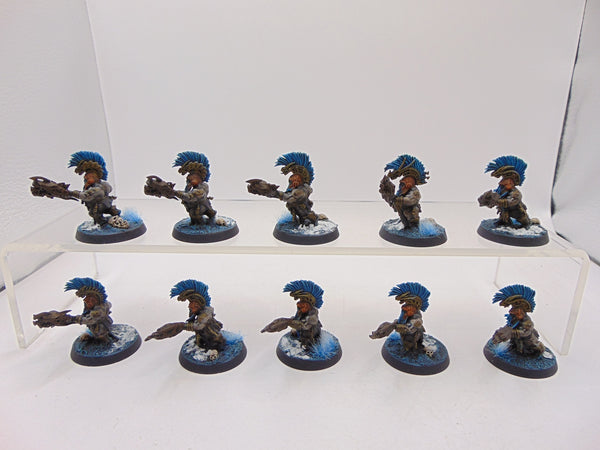 Auric Hearthguard