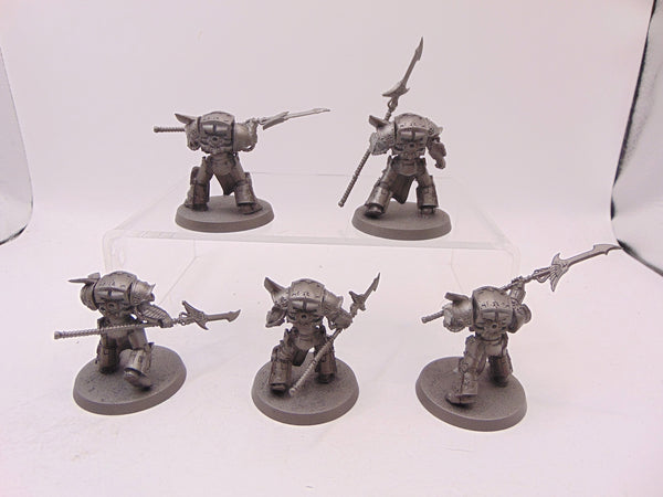 Phoenix Terminator Squad