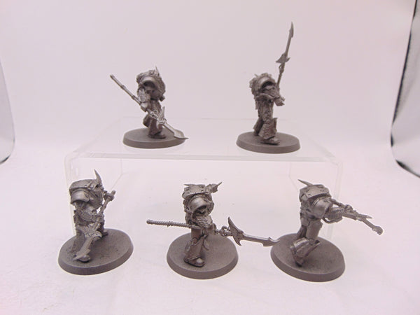 Phoenix Terminator Squad