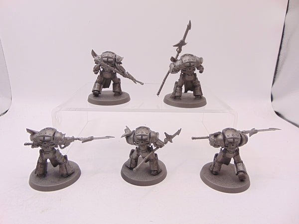 Phoenix Terminator Squad