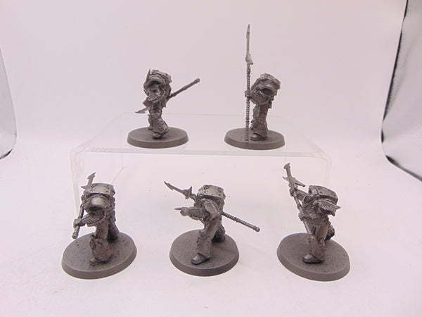 Phoenix Terminator Squad