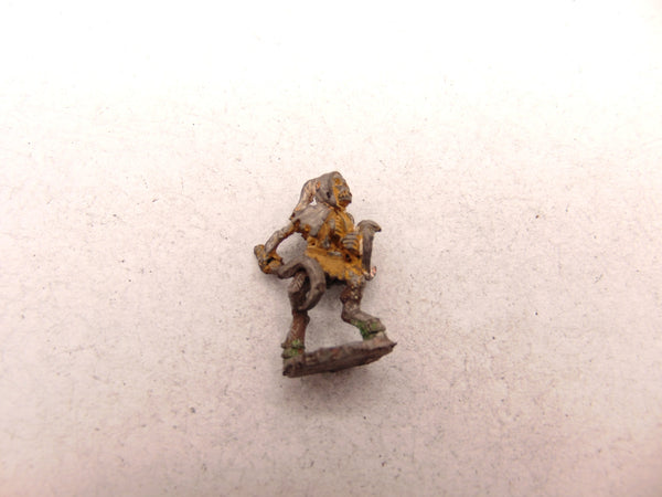 C17 Skeleton