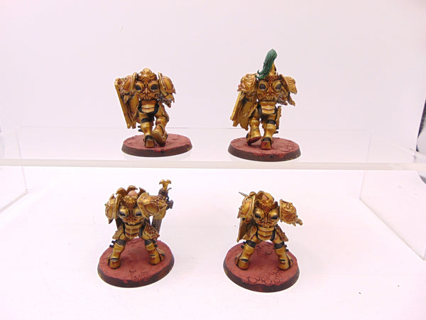 Custodian Guard