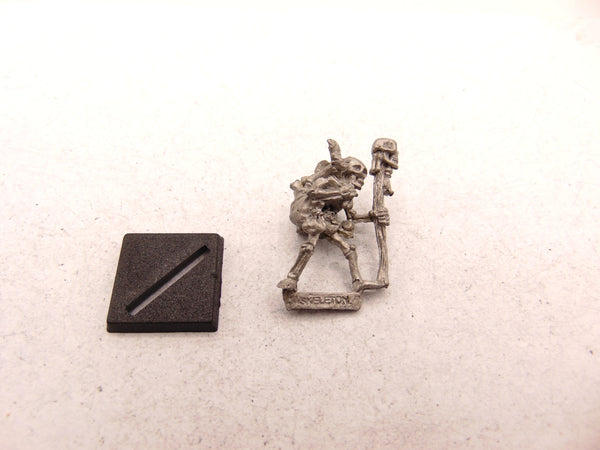 C17 Skeleton Wanderer