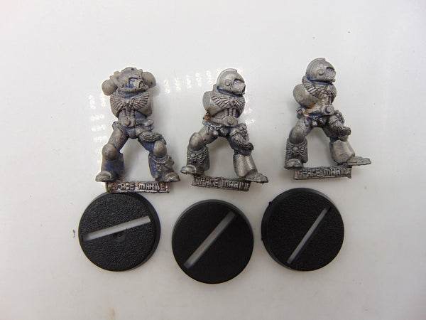 Grey Hunters