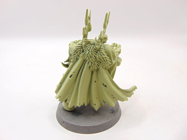 Chaos Lord in Terminator Armour