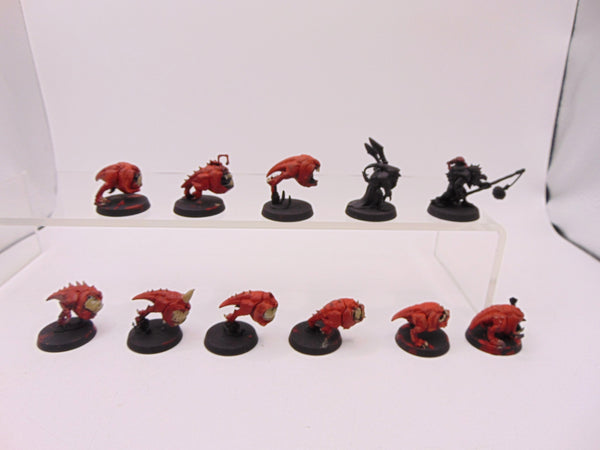 Squig Herd