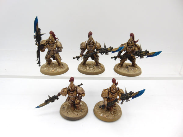 Custodian Guard