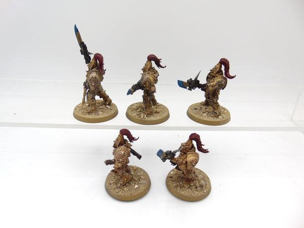 Custodian Guard