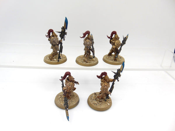 Custodian Guard